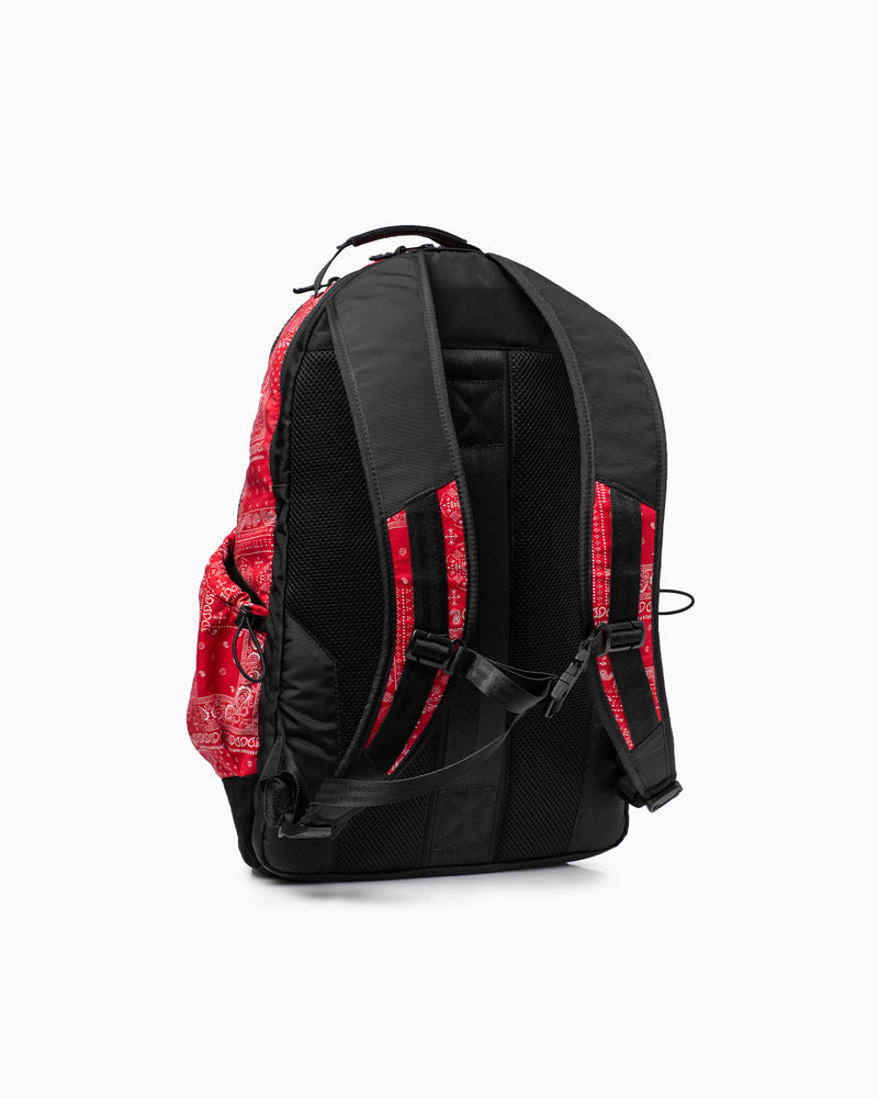 Kyoto Red Paisley